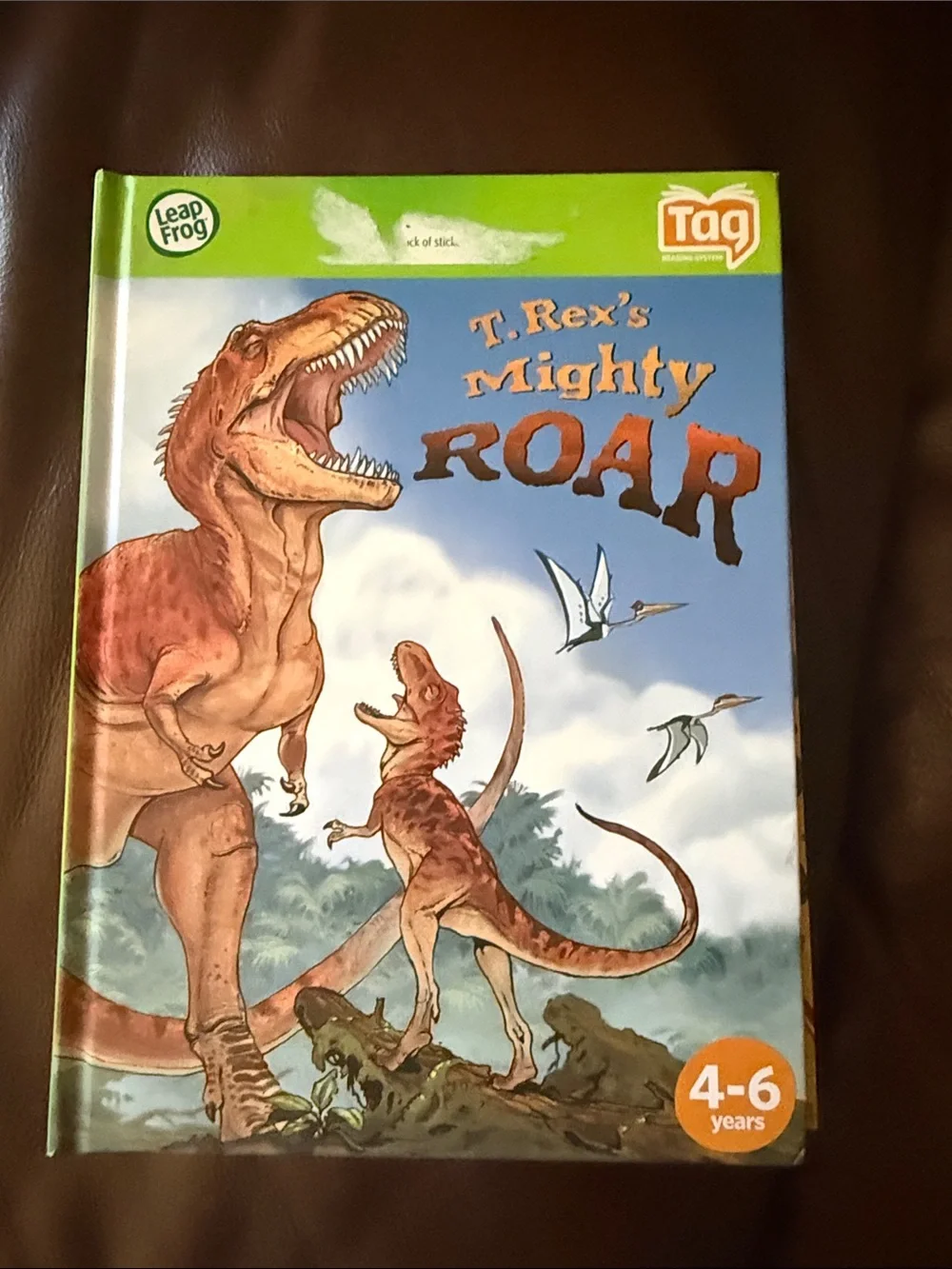 12-Leap Frog Children's reader pen Books- Assorted